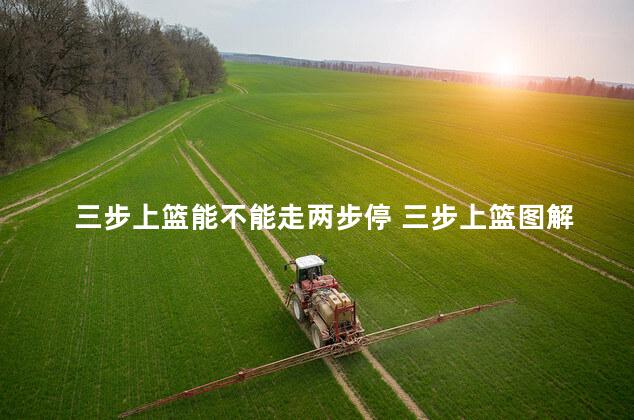 三步上篮能不能走两步停 三步上篮图解